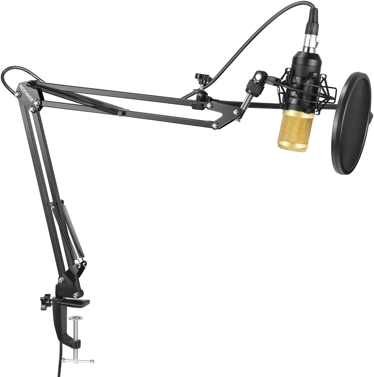 Micrófono Condensador Neewer Nw-800 Dorado Estudio Profesional